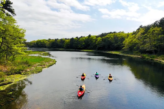 Cape Cod Kayak Tour at Sunset - Image 6