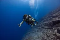 Maui Scuba Diving Molokini Crater 3 hr thumbnail 1