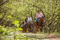 Kahuku Horseback Ride in Hawaiian Countryside 90 Min thumbnail 4
