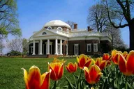 Charlottesville Historic Tour thumbnail 6