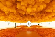 Chicago Balloon Museum Entry Tickets thumbnail 1