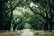 Savannah Film Locations Private Tour thumbnail 2