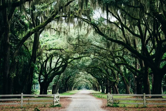 Savannah Film Locations Private Tour - Image 2