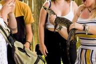 Homestead Everglades Alligator Farm Airboat Ride thumbnail 5