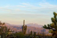 Scottsdale Desert Jeep Tour at Sunset thumbnail 2