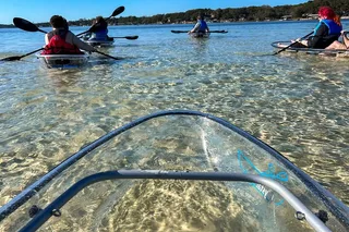 Destin Clear Kayak Ecotour