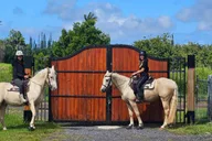 Pāhoa Rainforest Trail Ride thumbnail 2