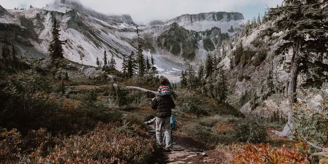 Seattle Mt Baker & Cascade Mountains Tour - Image 4