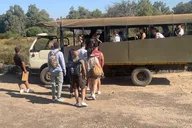 Cape Town Safari at Aquila Game Reserve thumbnail 5