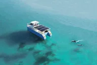 Key West Dolphin Watching and Guided Snorkeling thumbnail 1