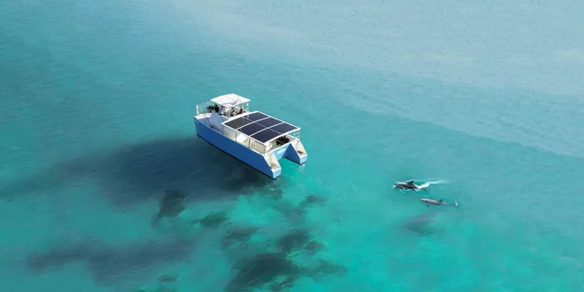 Key West Dolphin Watching and Guided Snorkeling - Image 1