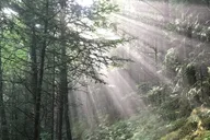 Clingmans Dome Hike thumbnail 5