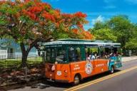 Miami to Key West Day Trip with Narration thumbnail 6