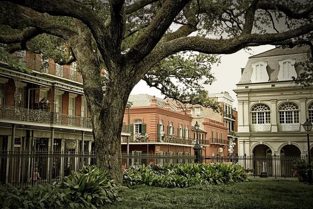 New Orleans City Tour with Driver and Guide - Image 2