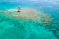 Key West Reef Snorkeling with Breakfast and Mimosas thumbnail 3