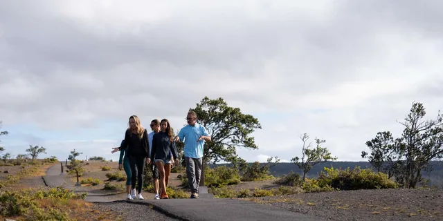 Hawaii Volcanoes Tour with Dinner and Pickup - Image 5