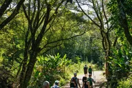 Maui Rainforest Waterfall Hiking Adventure thumbnail 5