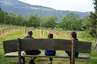 Portland Columbia Gorge Waterfalls and Wineries Tour thumbnail 1