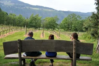Portland Columbia Gorge Waterfalls and Wineries Tour