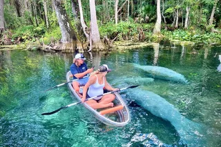 Silver Springs Clear Kayak Tour with Manatees and Monkeys