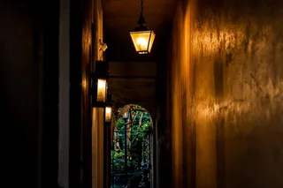 Charleston Pub Crawl