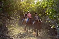 Oahu Horseback Ride at Sunset thumbnail 5