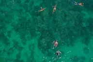 Key West Kayaking, Snorkeling & Sunset Sail thumbnail 6