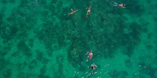 Key West Kayaking, Snorkeling & Sunset Sail - Image 6