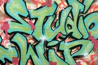 Chicago Street Art Tour in West Town 1.5 hr thumbnail 2