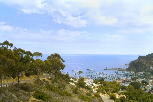 Catalina Island Avalon Scenic Tour - Image 6