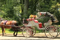 New York City Central Park Horse Carriage Ride thumbnail 4