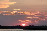 Savannah Dolphin and Birding Cruise at Sunset thumbnail 6