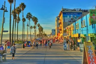 Los Angeles Attractions Private Car Tour