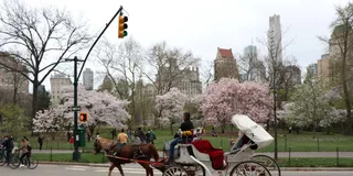 New York Horse Carriage Ride with Tavern on the Green