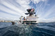 Waikiki Snorkel Charter 3.5 hr thumbnail 6