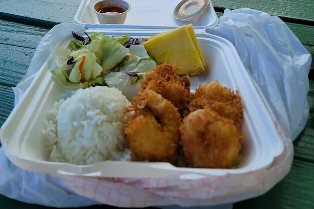 Oahu North Shore Tour with Dole Plantation - Image 5