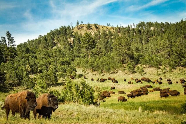 South Dakota Private Sightseeing Tour - Image 1