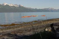 Seward Kayaking Adventure in Resurrection Bay thumbnail 5