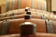 Traverse City Hard Cider Tour on Old Mission thumbnail 6