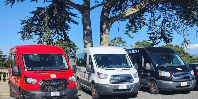 San Francisco City Tour Half-Day - Image 6