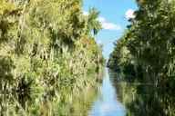 New Orleans Airboat Swamp Tour thumbnail 4