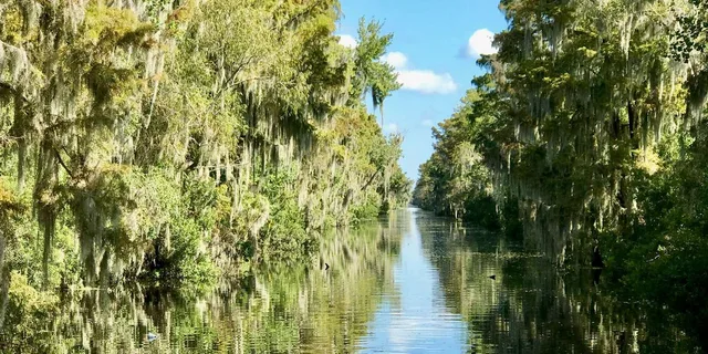 New Orleans Airboat Swamp Tour - Image 4