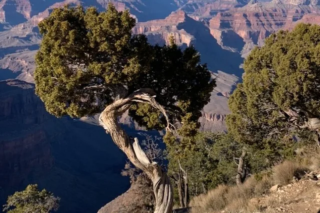 Grand Canyon Custom Tour - Image 3