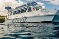 Kailua-Kona Eco-Friendly Snorkeling Experience with BBQ thumbnail 4