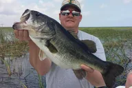 Naples Lake Trafford Fishing Trip thumbnail 2
