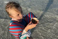 Siesta Key Eco and Dolphin Boat Tour 4 hr thumbnail 5