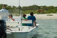 Ocean City Assateague Island Cruise thumbnail 2