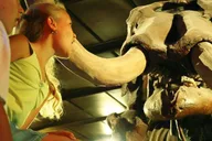 Houston Museum of Natural Science Admission thumbnail 4