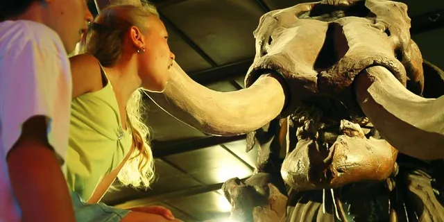Houston Museum of Natural Science Admission - Image 4