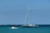 Waikoloa Whale Watching Cruise thumbnail 6